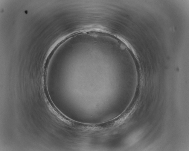 X0000085240941200703091213