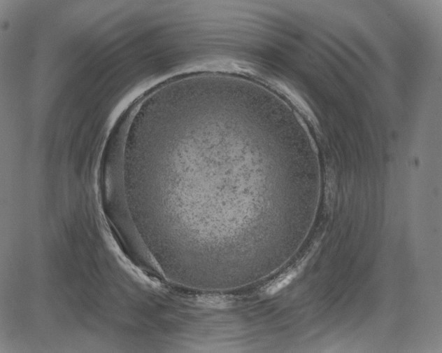 X0000085240944200703091213