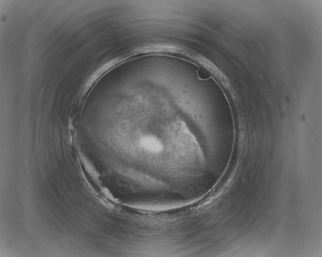 X0000085240945200703091213