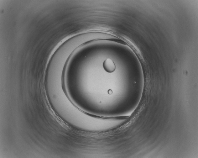 X0000085240948200703091213