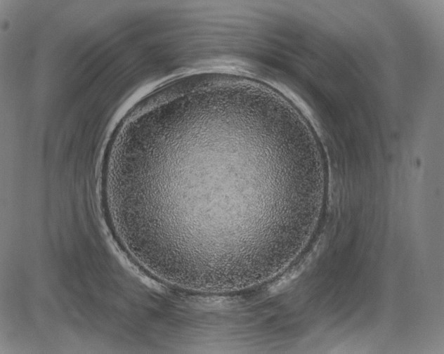 X0000085240949200703091213