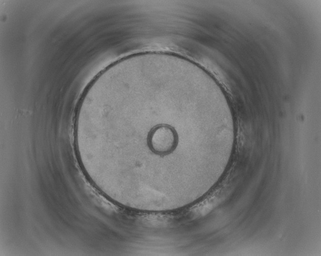 X0000085240950200703091213