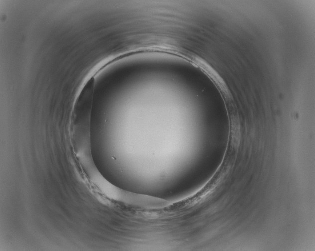 X0000085240956200703091213