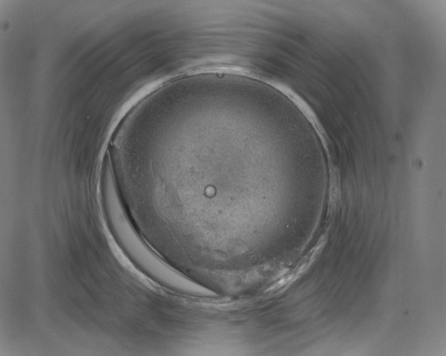 X0000085240957200703091213