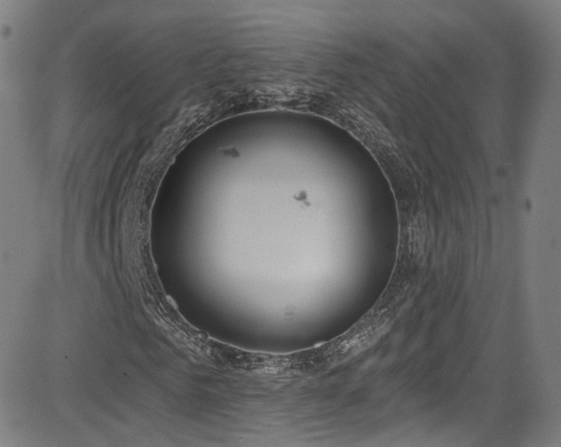 X0000085240961200703091213