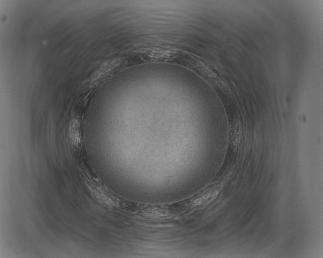 X0000085240962200703091213