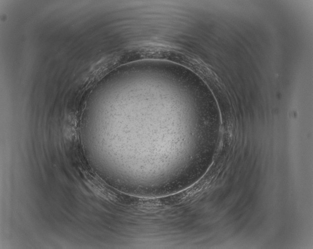 X0000085240964200703091213