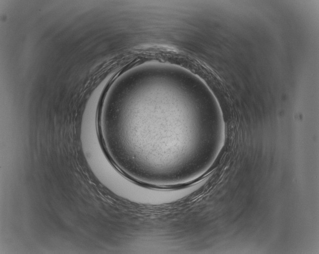 X0000085240965200703091213