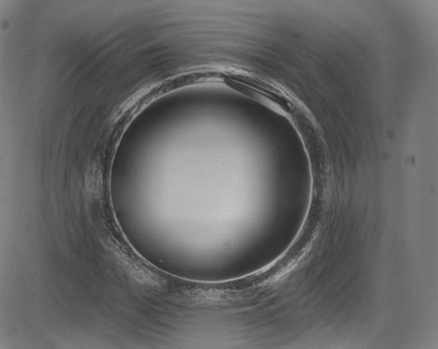 X0000085240969200703091212