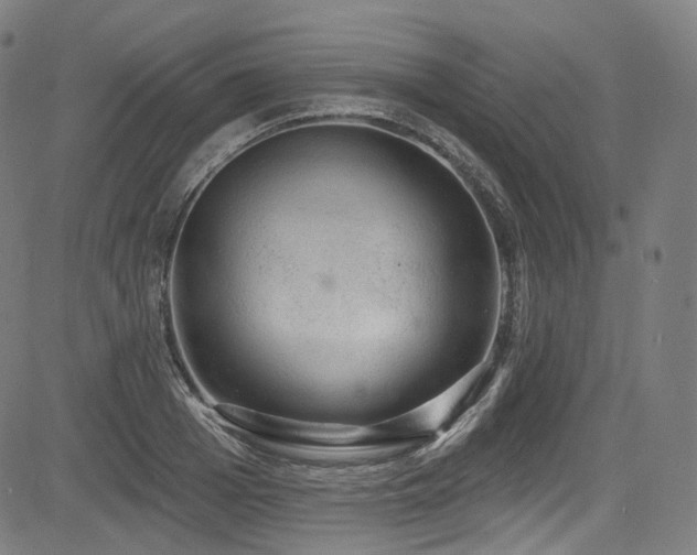 X0000085240985200703091212