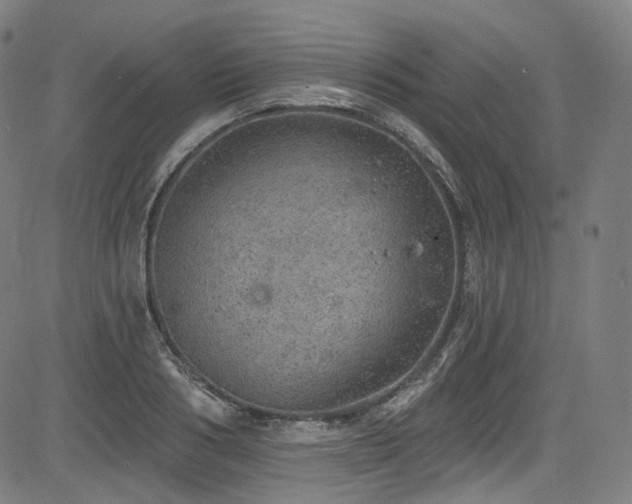 X0000085240986200703091212