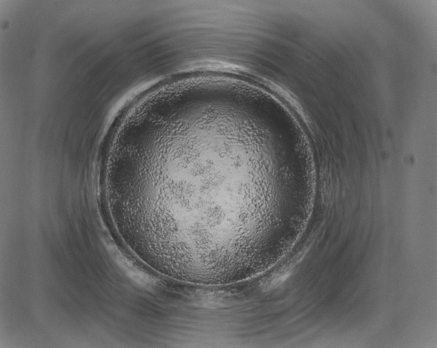 X0000085240987200703091212
