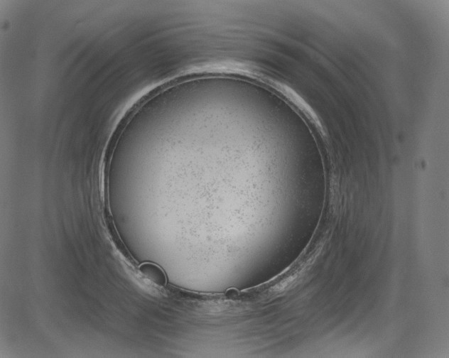 X0000085240988200703091212