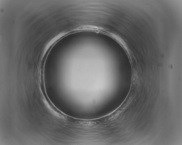 X0000085241003200703091212