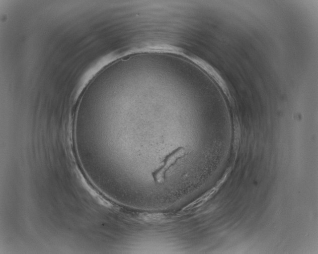 X0000085241006200703091212