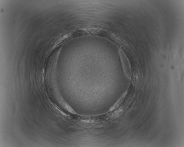 X0000085241010200703091211