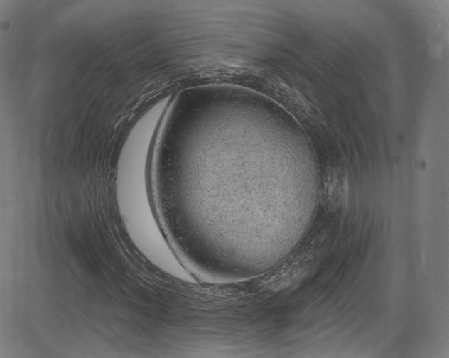 X0000085241012200703091211