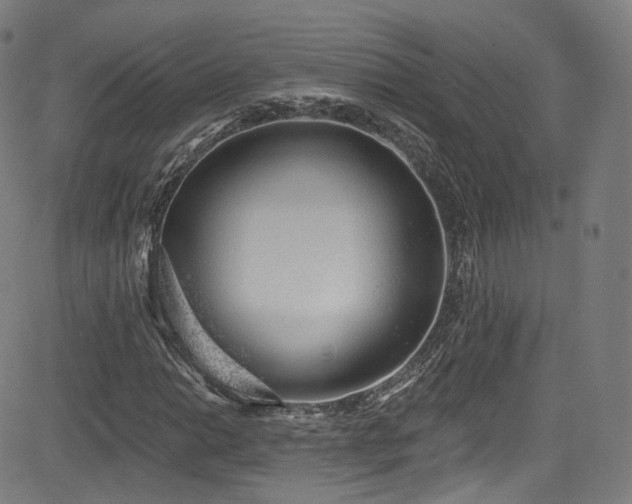 X0000085241014200703091211