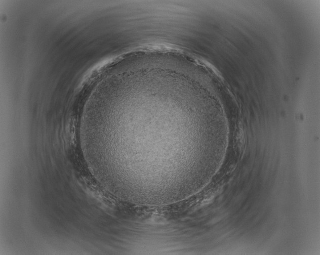 X0000085241016200703091211