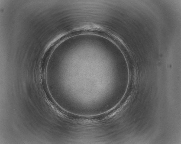 X0000085241018200703091211