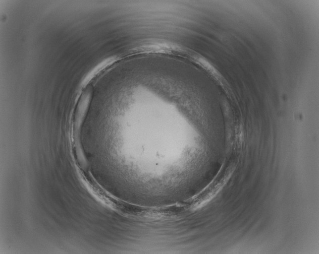 X0000085241034200703091211