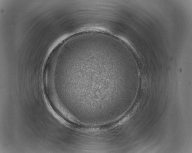 X0000085241038200703091212