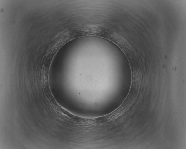 X0000085241058200703091211