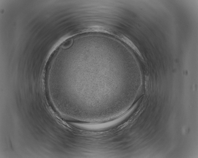 X0000085241068200703091211