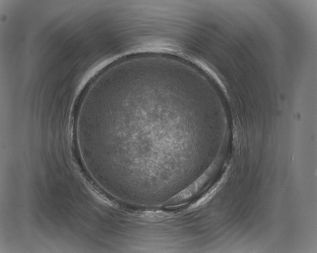 X0000085241077200703091211