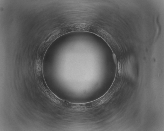 X0000085241107200703091209
