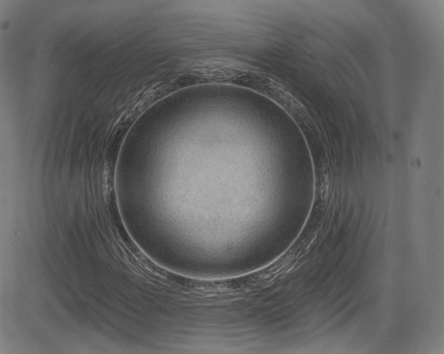 X0000085241108200703091209