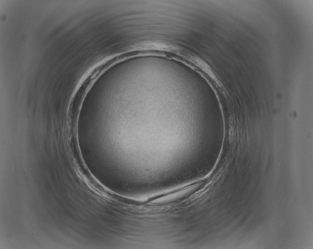 X0000085241116200703091210