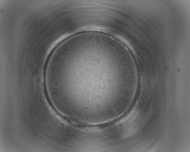 X0000085241133200703091210