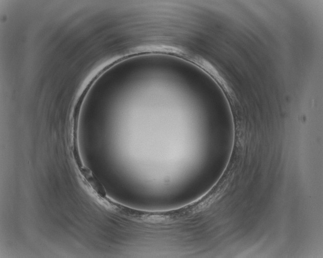 X0000085241140200703091210