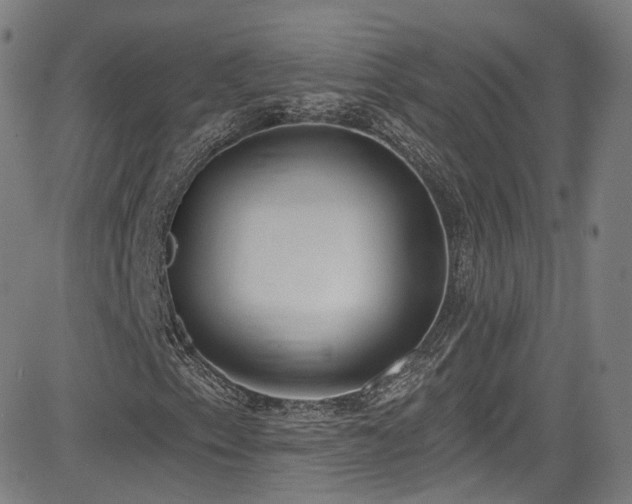 X0000085241153200703091209