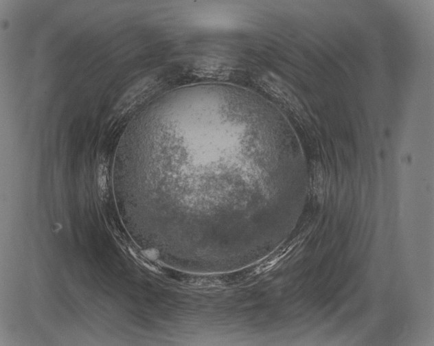 X0000085241154200703091209