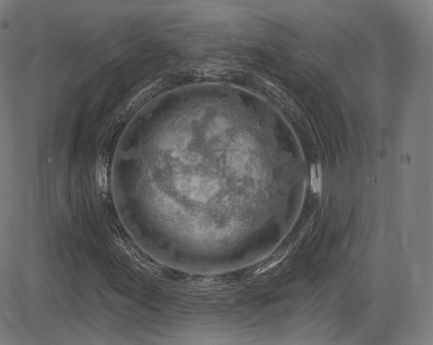 X0000085241155200703091209