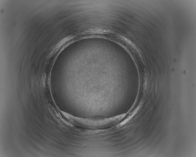 X0000085241161200703091209