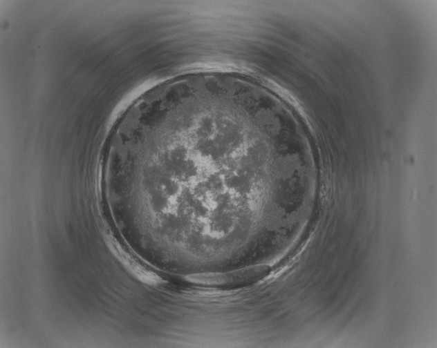 X0000085241179200703091209