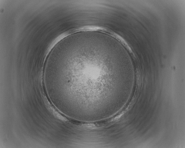 X0000085241186200703091209
