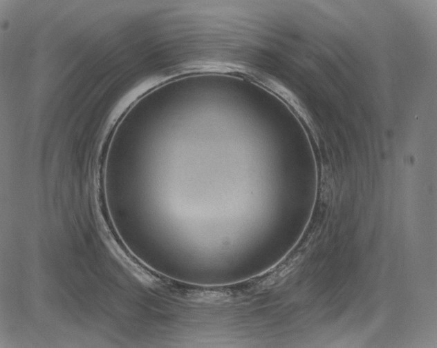 X0000085241187200703091209