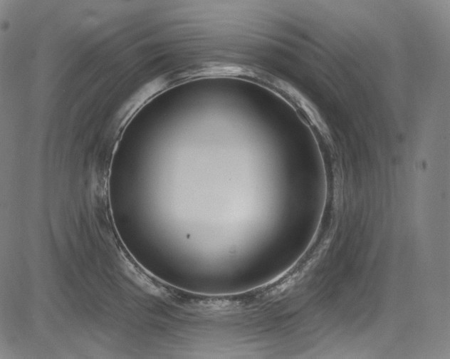 X0000085241193200703091209