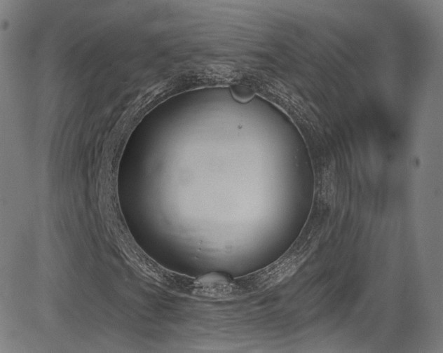 X0000085241201200703091208