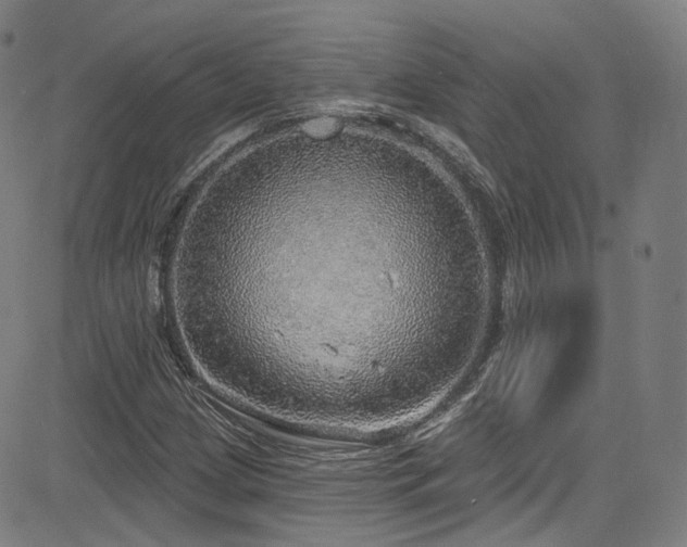 X0000085241209200703091208