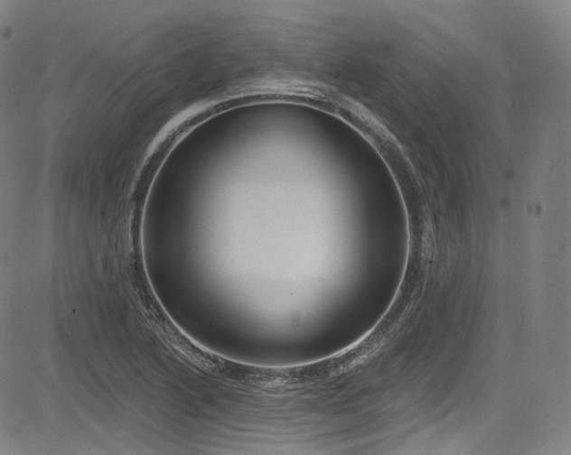X0000085241222200703091208