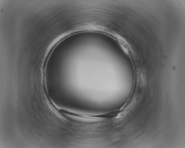 X0000085241238200703091208