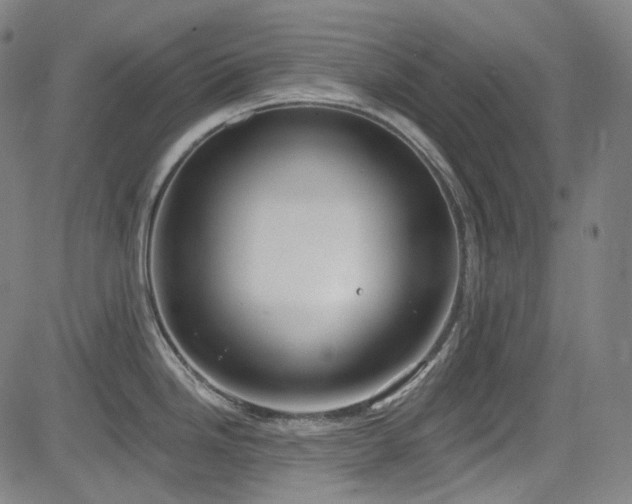 X0000085241246200703091209