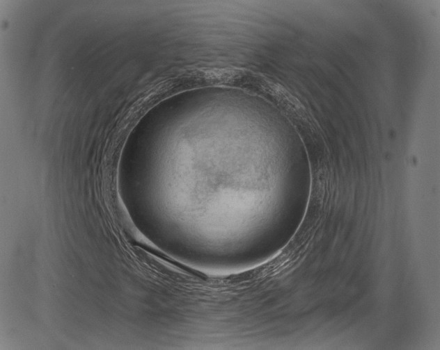 X0000085241249200703091208