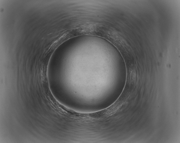X0000085241250200703091208