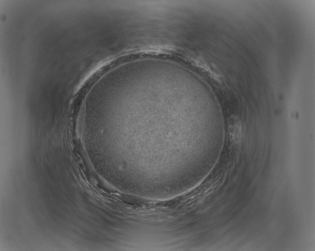 X0000085241256200703091208